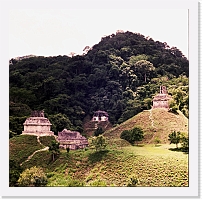 PAL_0113 * 512 x 509 * (301KB)